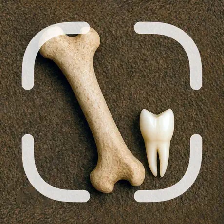 Bone, Skull & Tooth Identifier app icon