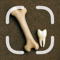 Bone, Skull & Tooth Identifier app icon