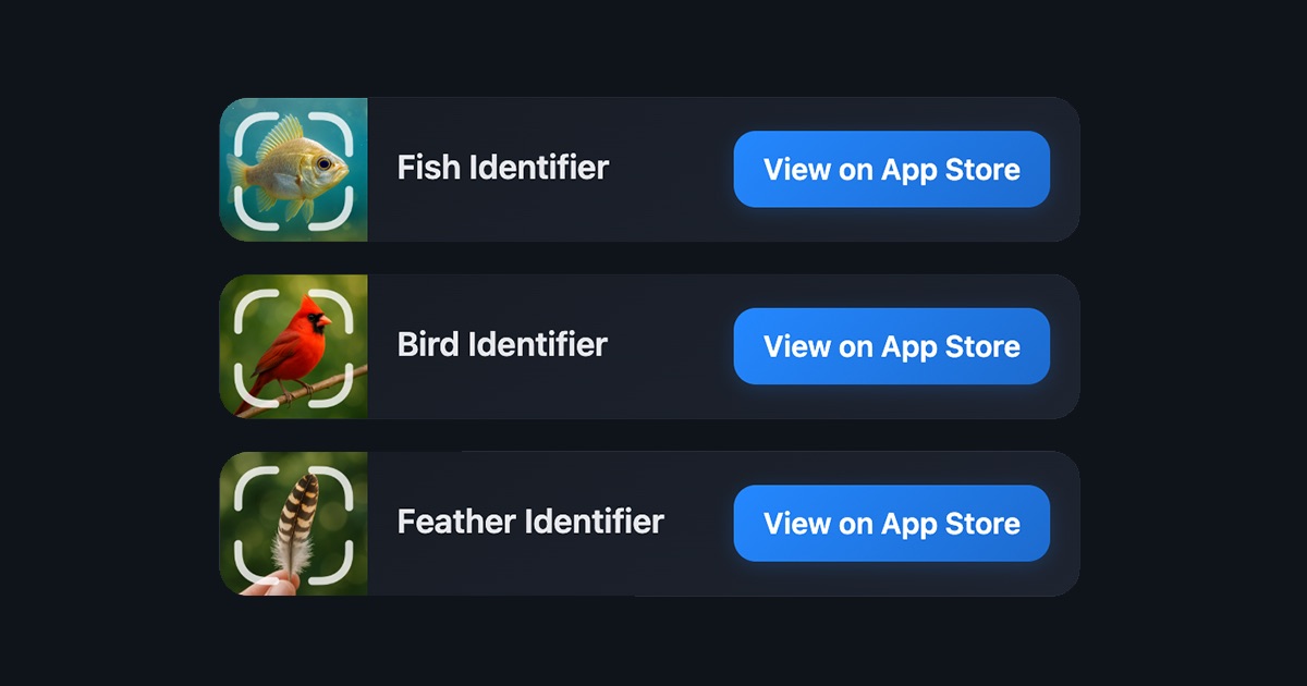 Identifier Apps – AI Identification Tools